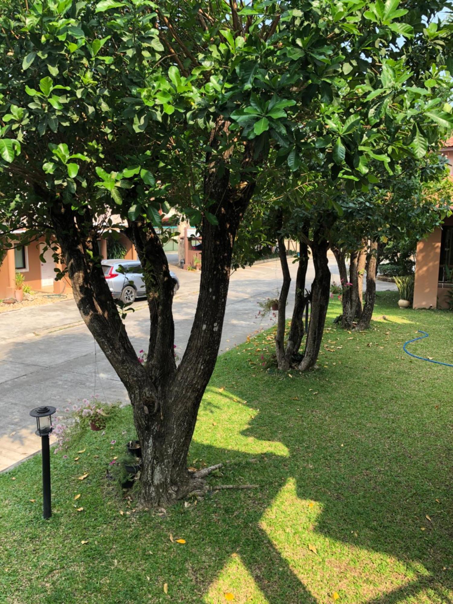 Areena Resort And Hotel أوتاراديت المظهر الخارجي الصورة